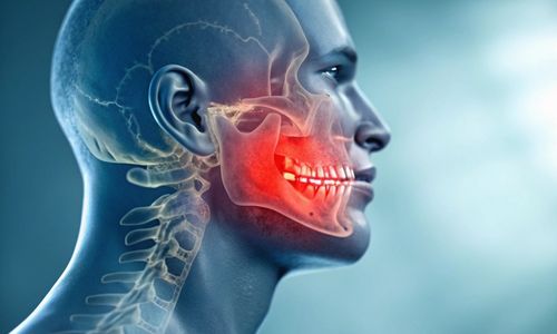 Kiefergelenk und Muskulatur: funktionelle Zusammenhänge